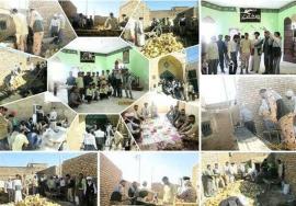  ۷۳۰گروه جهادی استان بوشهر در بخش‌های مختلف خدمات‌رسانی می‌کنند 